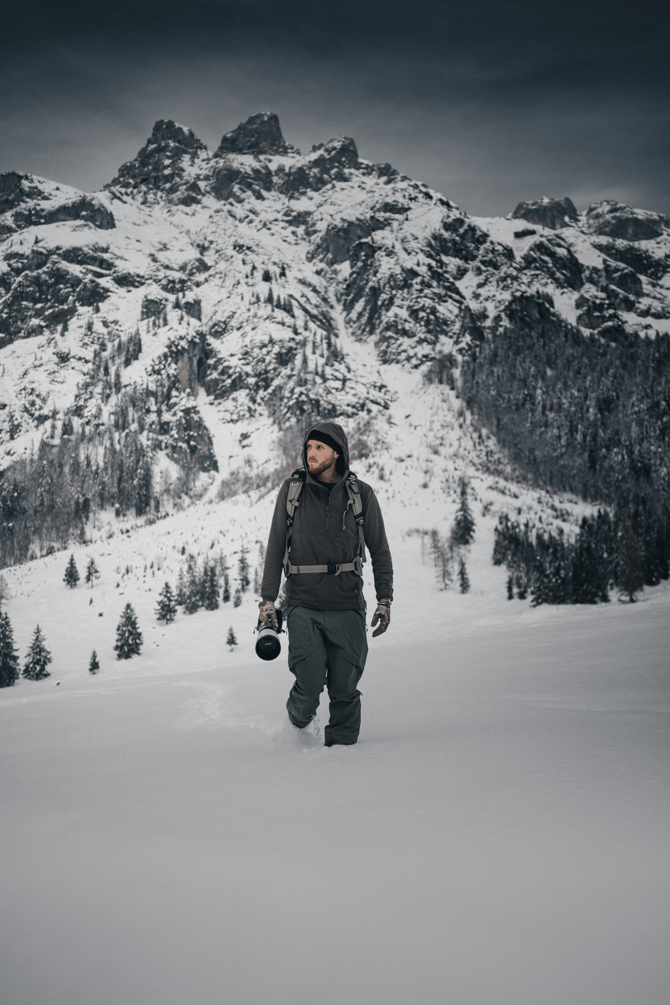 Chris Schwaiger — wildlife photography