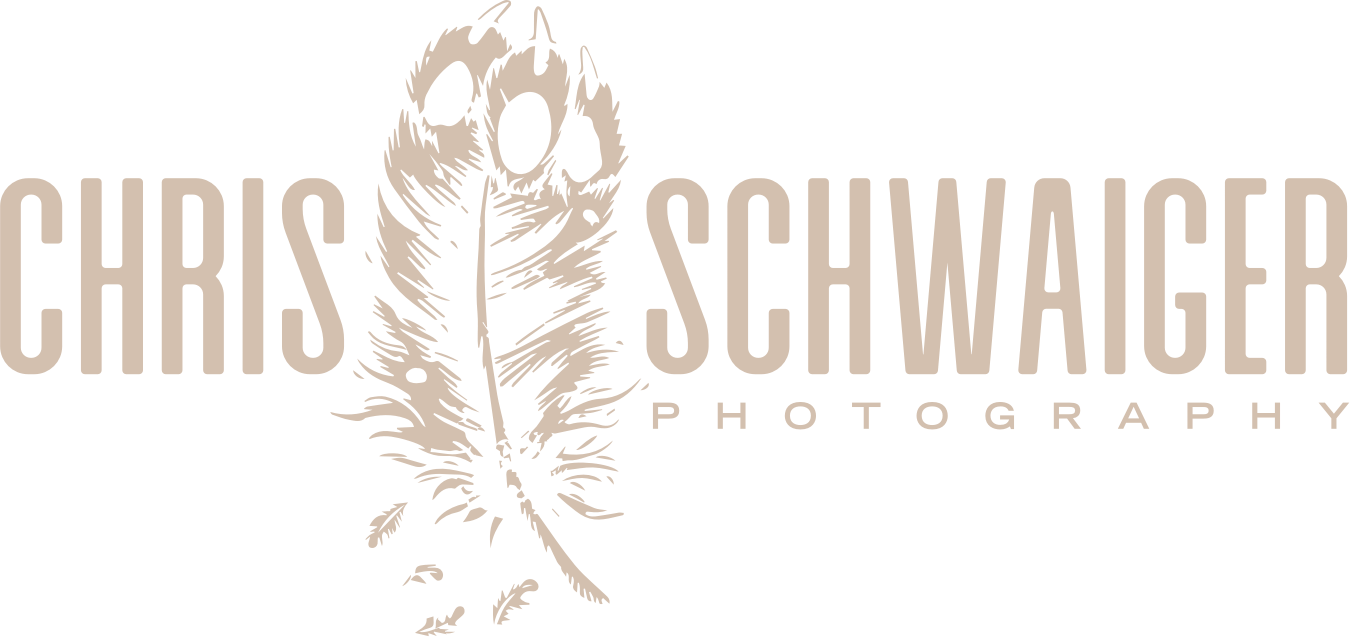 Chris Schwaiger Photography logo — Austrian wildlife photographer